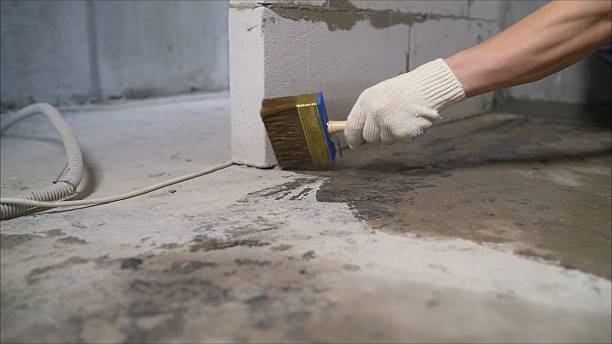Top rated local Wet Basement Repair specialists in Ridgeway, VA
